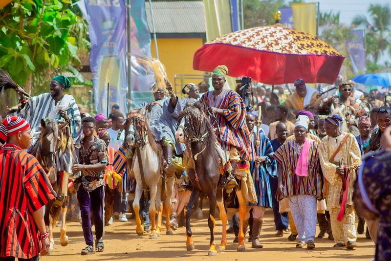 The horses were on display