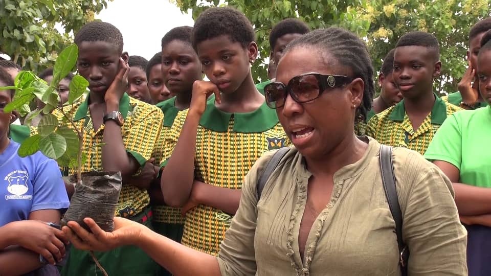 One woman in Kumasi is striving for a greener Ghana - MyJoyOnline.com