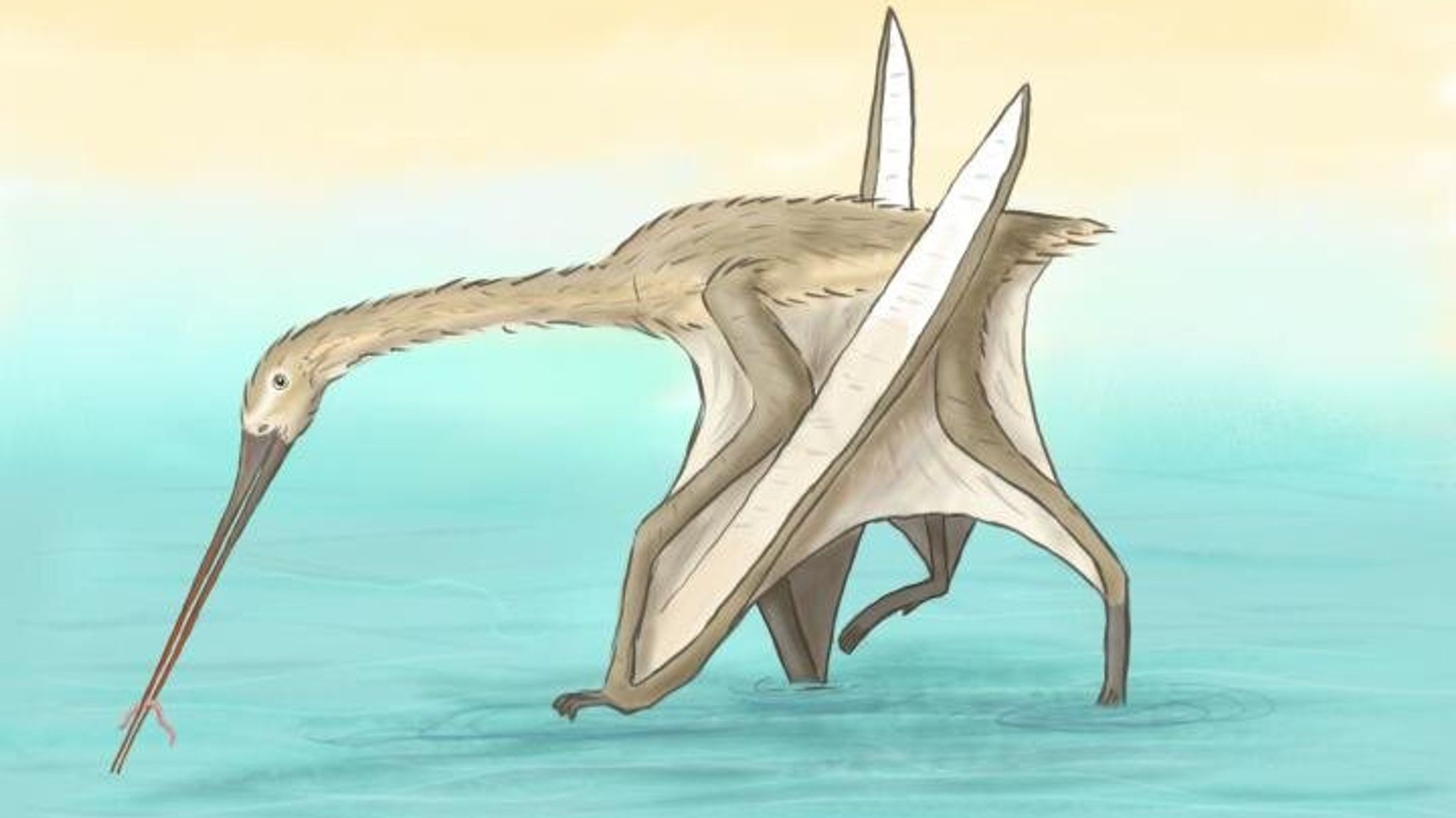 small pterosaur