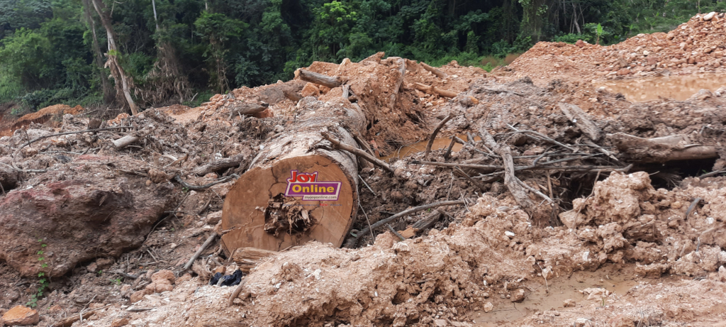 Commercial tree buried by illegal miners in forest reserve www.myjoyonline.com