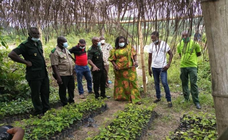 Forestry Commission urges Ghanaians to support Green Ghana initiative