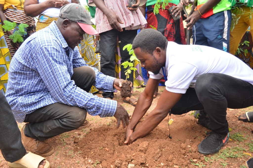 Green Ghana Day: GhaFFaP aims to plant 3 million trees to support ...