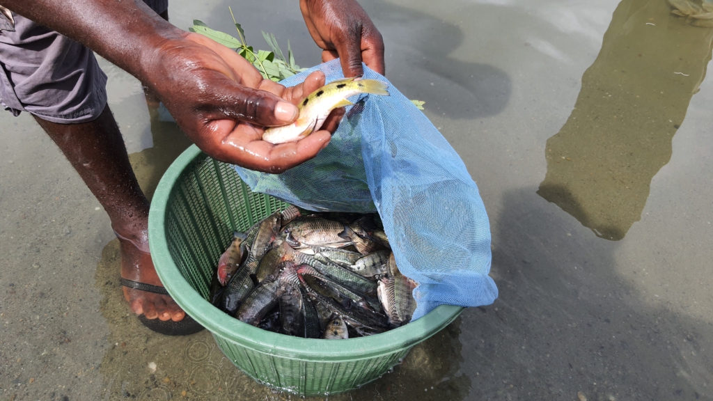 Where is busumana? A lake living in fear