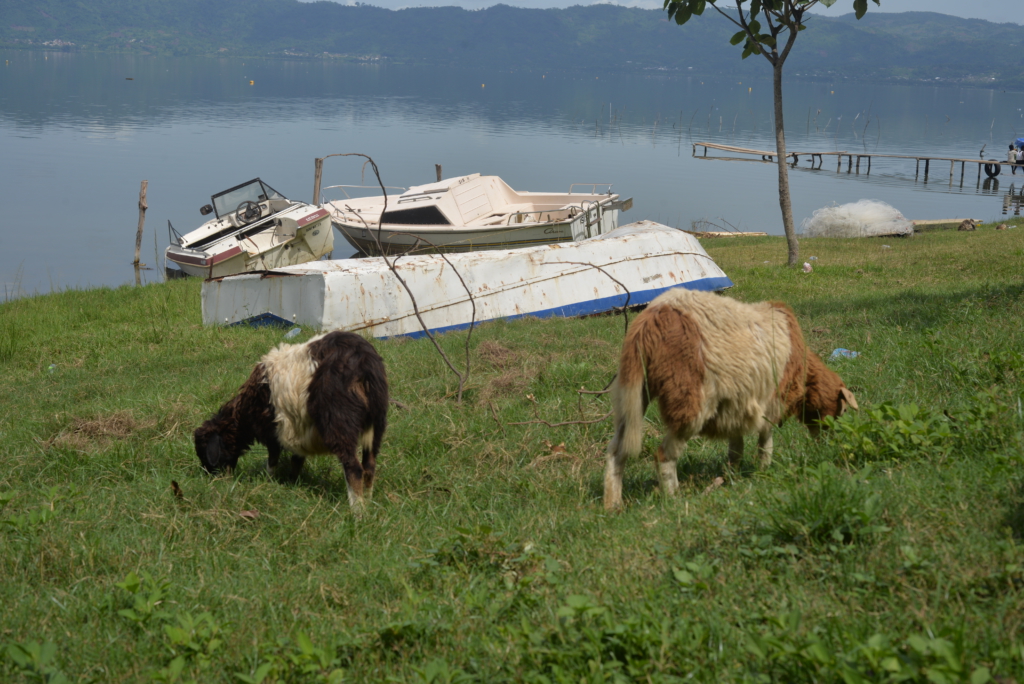 Where is busumana? A lake living in fear