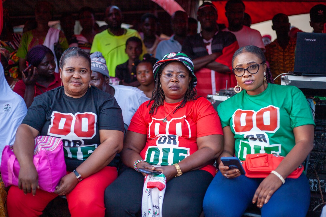 Do Or Die Statement To Form Basis Of Ndc Campaign To Regain Power In