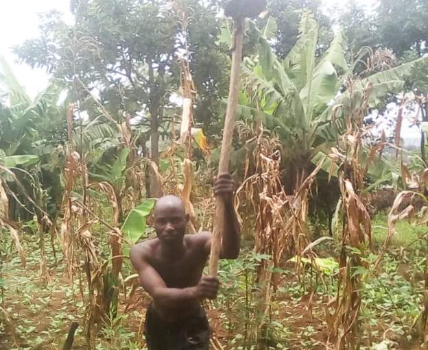 Former refugee donates 100kg maize crop to Ukrainians