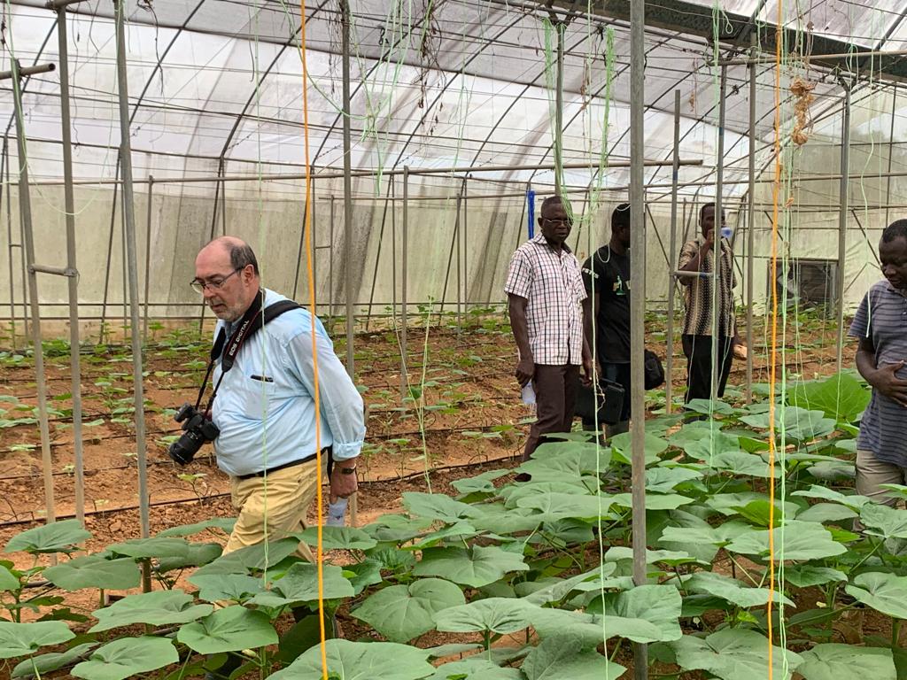 New water retainer to address drought and dehydration in tree crops and ...