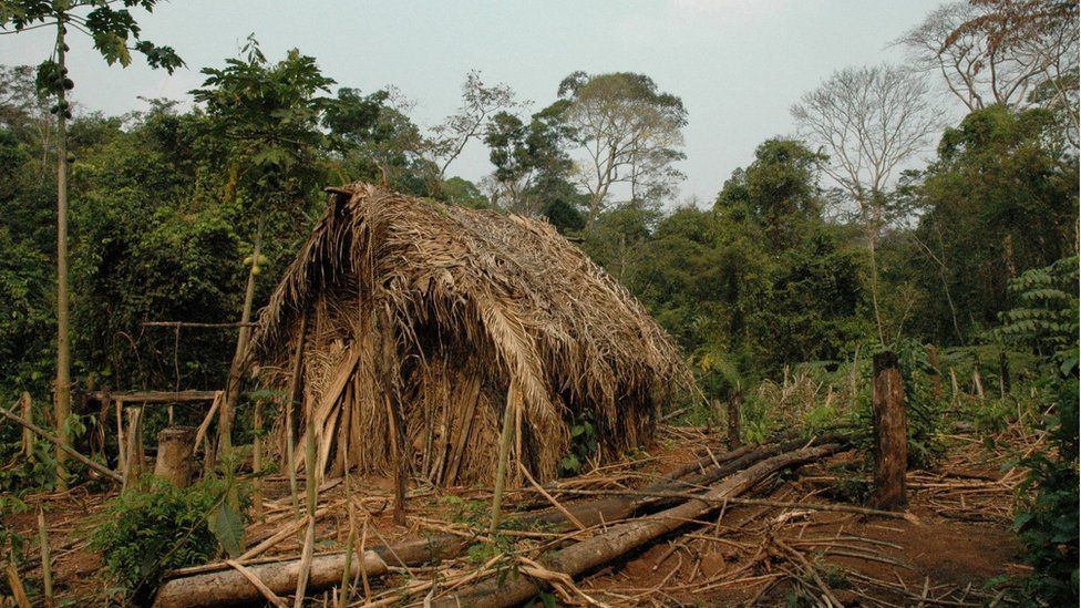 'Man of the Hole': 'World's loneliest man' and last of his tribe dies