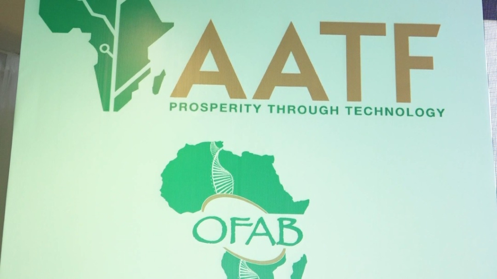 Africa’s biotechnology heroes celebrated on OFAB Day