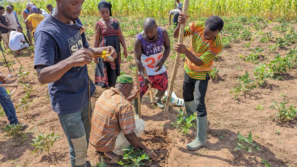 Mandela Washington Fellows tackle Climate Change through Sustainable ...