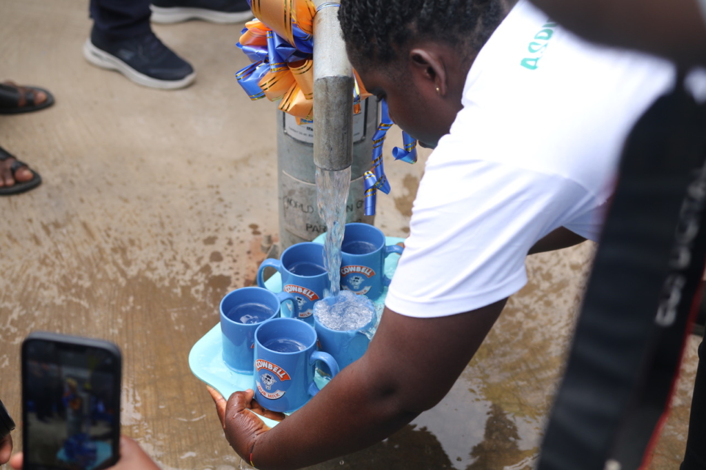 World Water Day: Cowbell provides water supply system to Dzakptra-Adeiso community