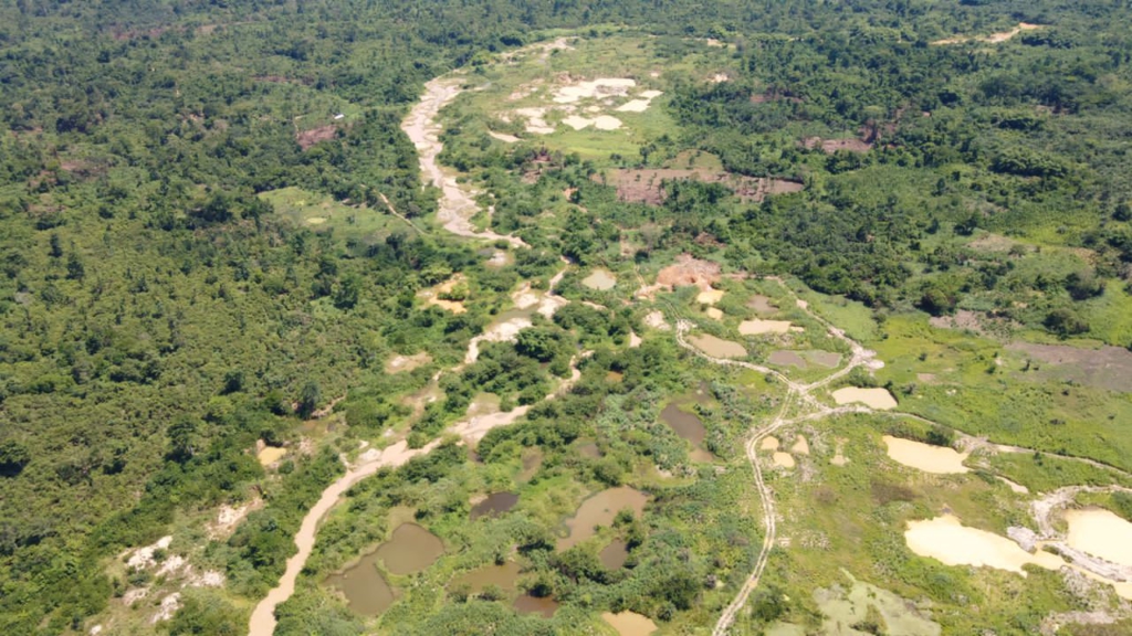 International Forest Day: Connecting with 'greens', how West Africa’s decimated forests save us