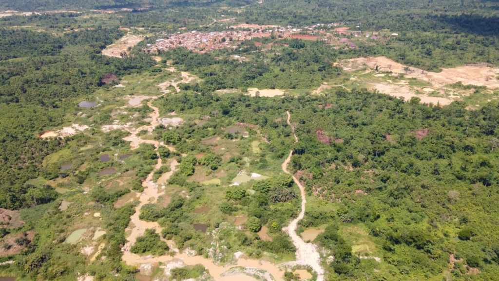 International Forest Day: Connecting with 'greens', how West Africa’s decimated forests save us