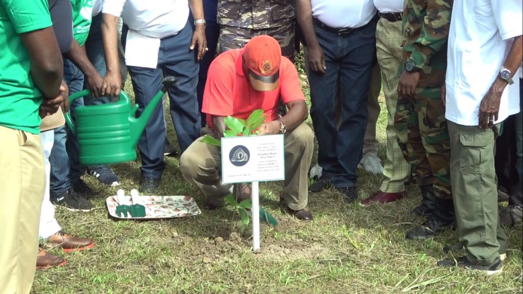 Asantehene leads tree planting in Kumasi as part of Green Ghana Day initiative 