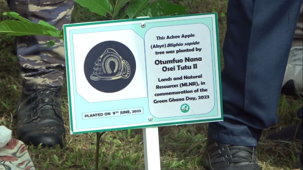 Asantehene leads tree planting in Kumasi as part of Green Ghana Day initiative 