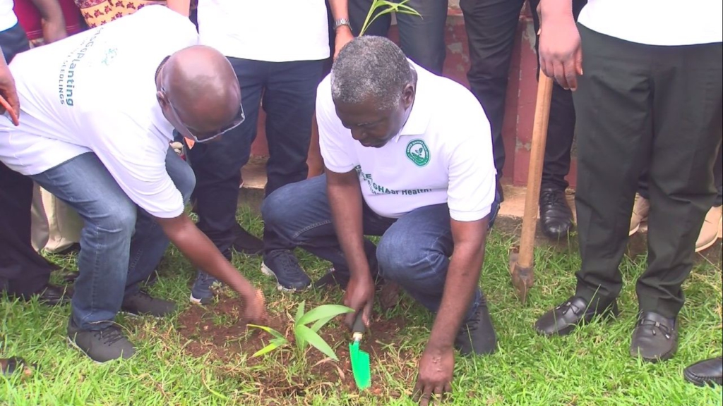 Asantehene leads tree planting in Kumasi as part of Green Ghana Day initiative 