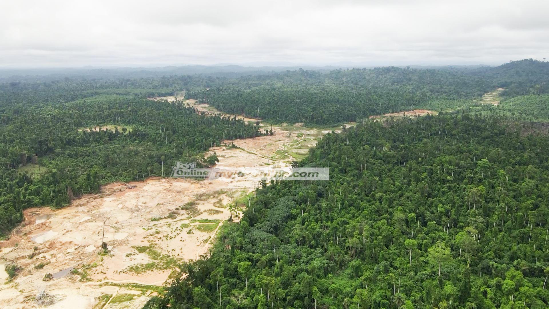 Forests Under Siege: A Rocha Ghana questions reclamation of lands ...