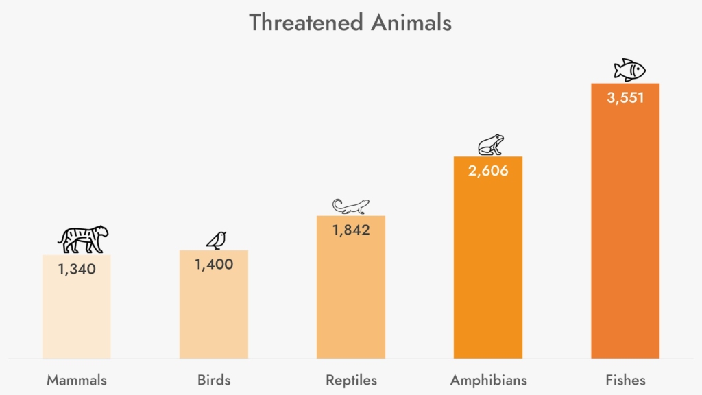 Analysis reveals alarming threats to animal species - MyJoyOnline