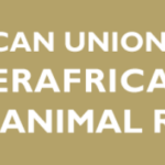 The African Union – Interafrican Bureau for Animal Resources (AU-IBAR) and Africa Centres for Disease Control and Prevention (Africa CDC) joined the Quadripartite Partners in the Annual World Antimicrobial Resistance Awareness Week Campaign in Zimbabwe