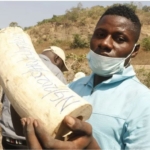 Nigeria ivory: Elephant tusks worth $11m destroyed