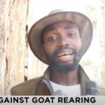 Yaw Nsarkoh: The goat farm in Berekum - the gods are to blame