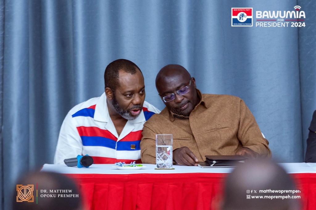 Napo, the NPP 2024 Vice Presidential Candidate