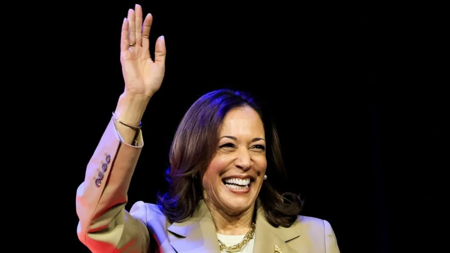 Harris Has Enough Support From Delegates To Be Democratic Nominee ...