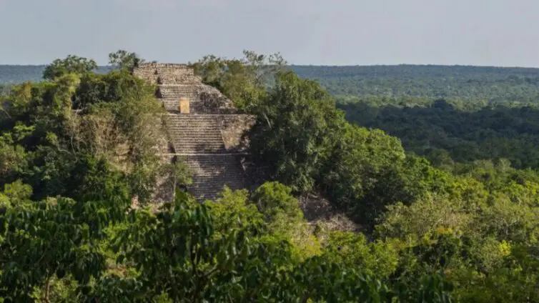 There are no pictures of the city but it had pyramid temples similar to this one in nearby Calakmul